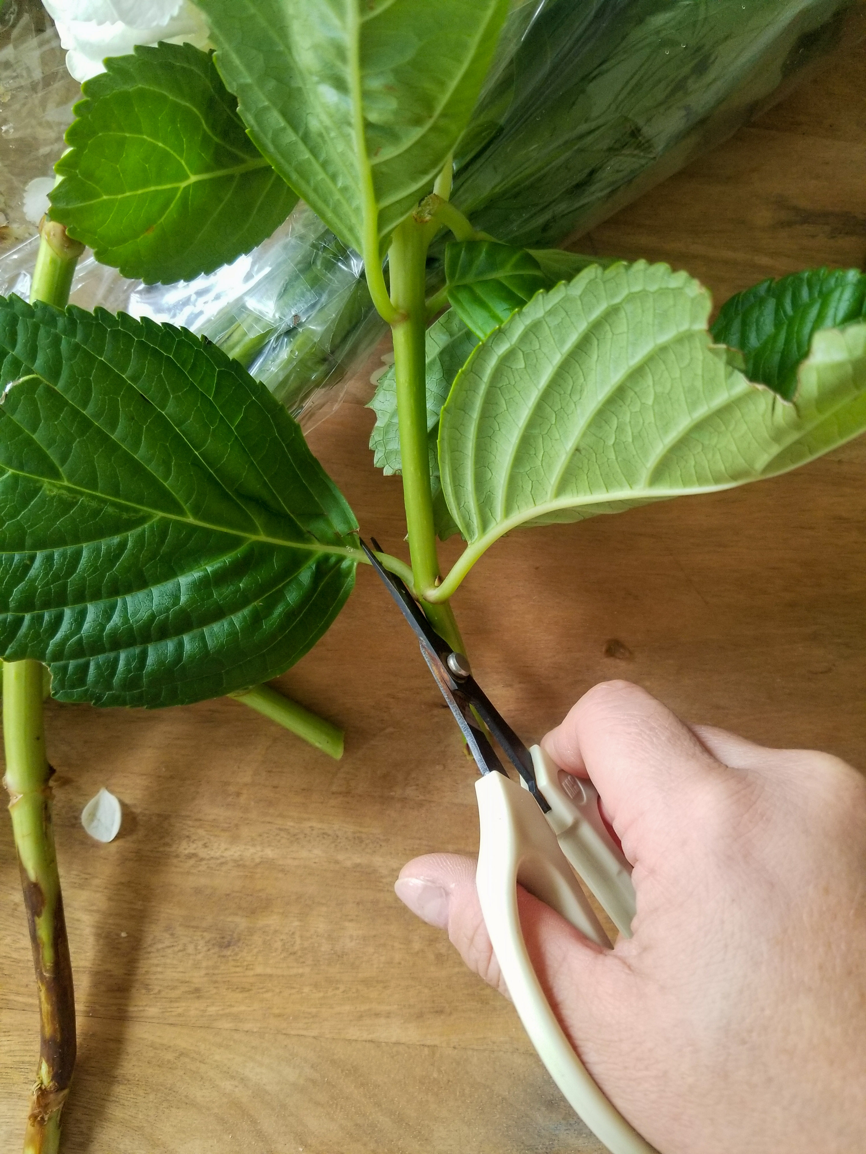 How To Make An Easy Peony Flower Arrangement This Dear Casa