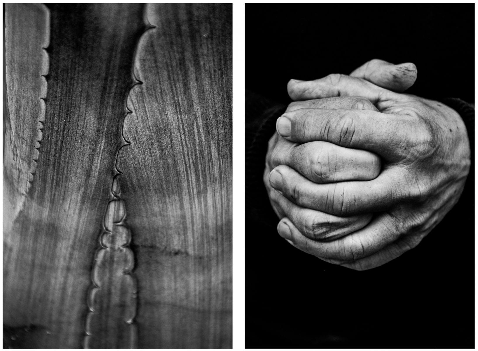 Visual Exercises: A Series of Diptychs by Alicja Brodowicz