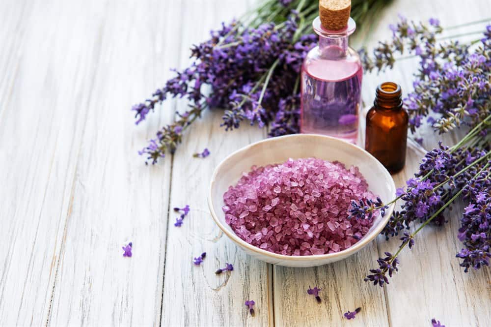 Lavender used in essential oils