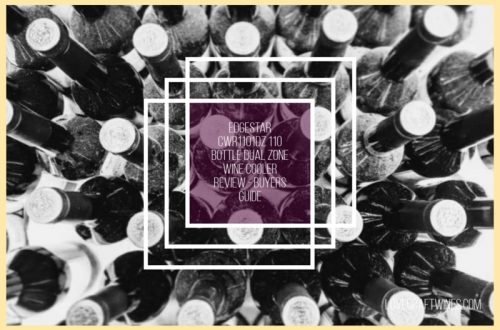 edgestar 21 bottle dual zone wine cooler