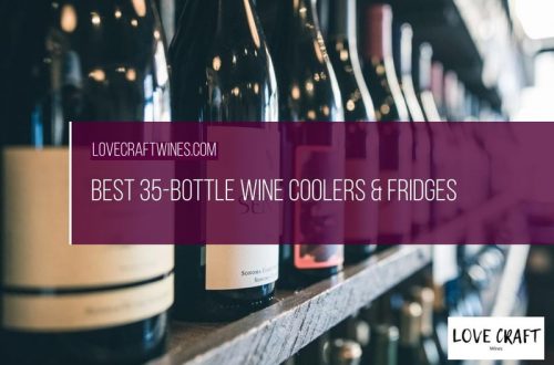 Top 10 Best Kitchen Wine Fridges Coolers 2020 Review