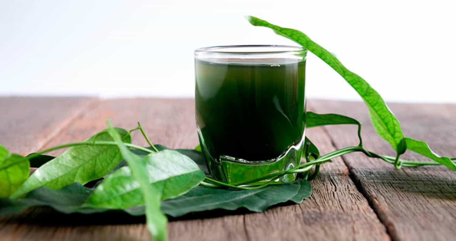 Does Chlorophyll Benefit Your Skin? Life Infused