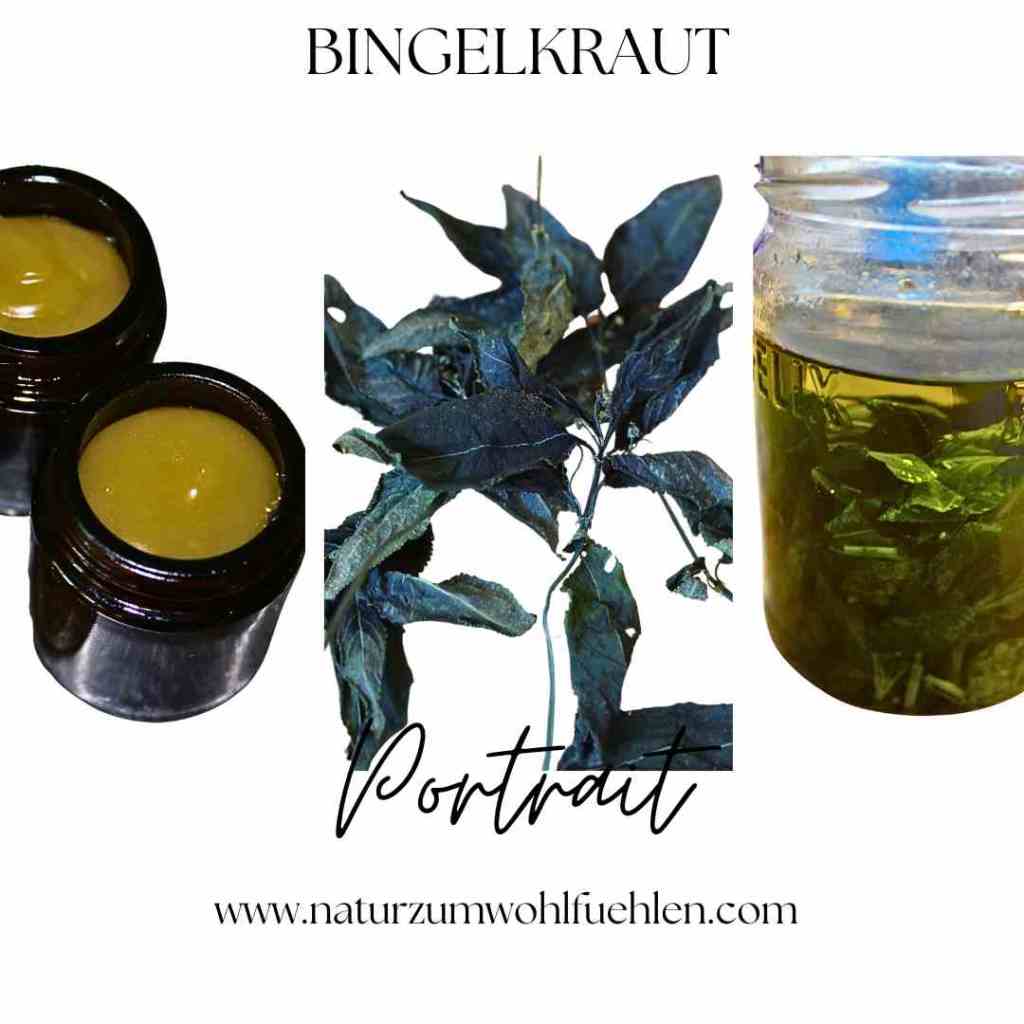 Bingelkraut Salbe