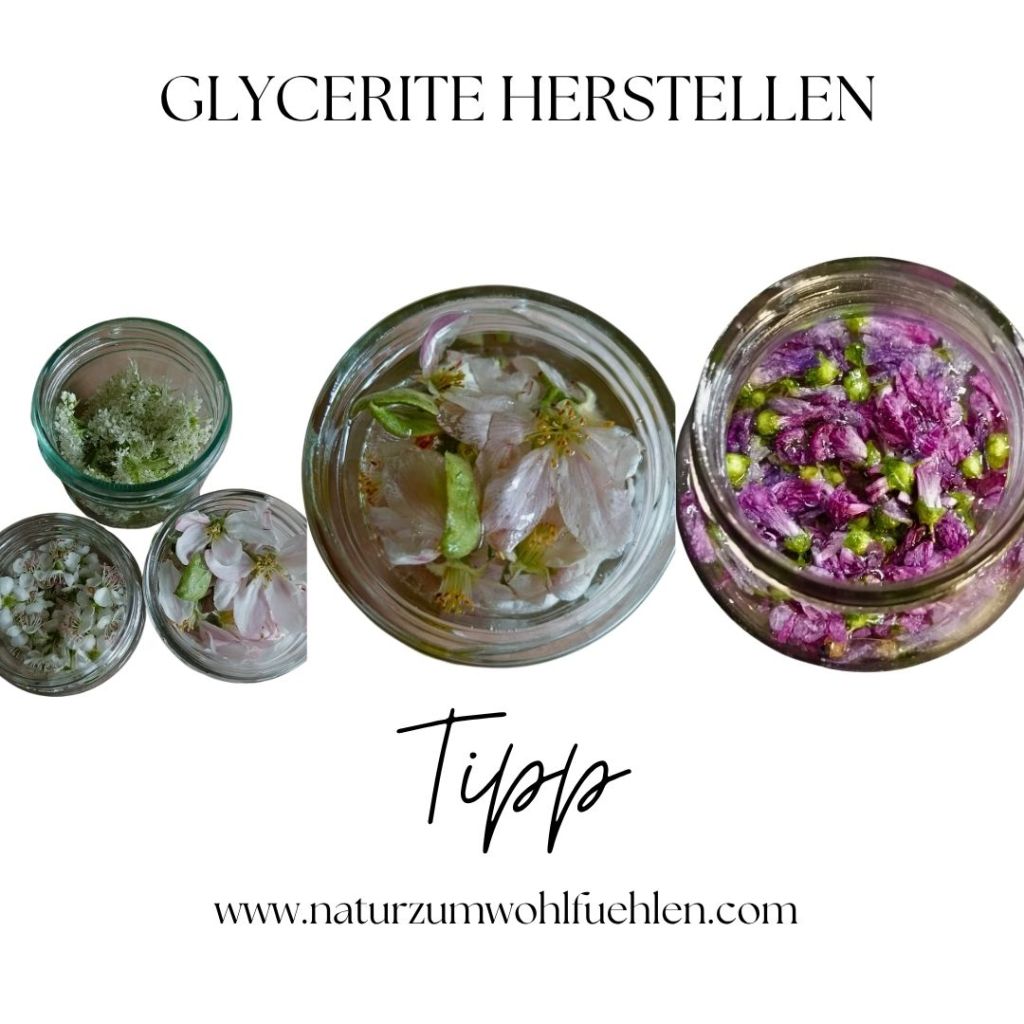 Drei Glasgefäße mit verschiedenen Pflanzenauszügen in Glycerin, die farbige Blumen- und Blütenbestandteile enthalten, mit dem Text "GLYCERITE HERSTELLEN" oben und "Tipps" darunter.