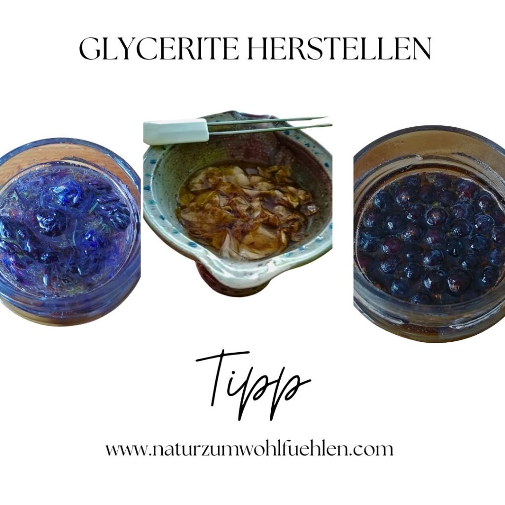 Drei verschiedene Behälter mit Glycerinextraktionen: links ein blauer, geleeartiger Inhalt, in der Mitte Pflanzenmaterial in einer Schüssel mit Flüssigkeit, rechts eine dunkle Glycerinlösung mit kleinen Kügelchen.