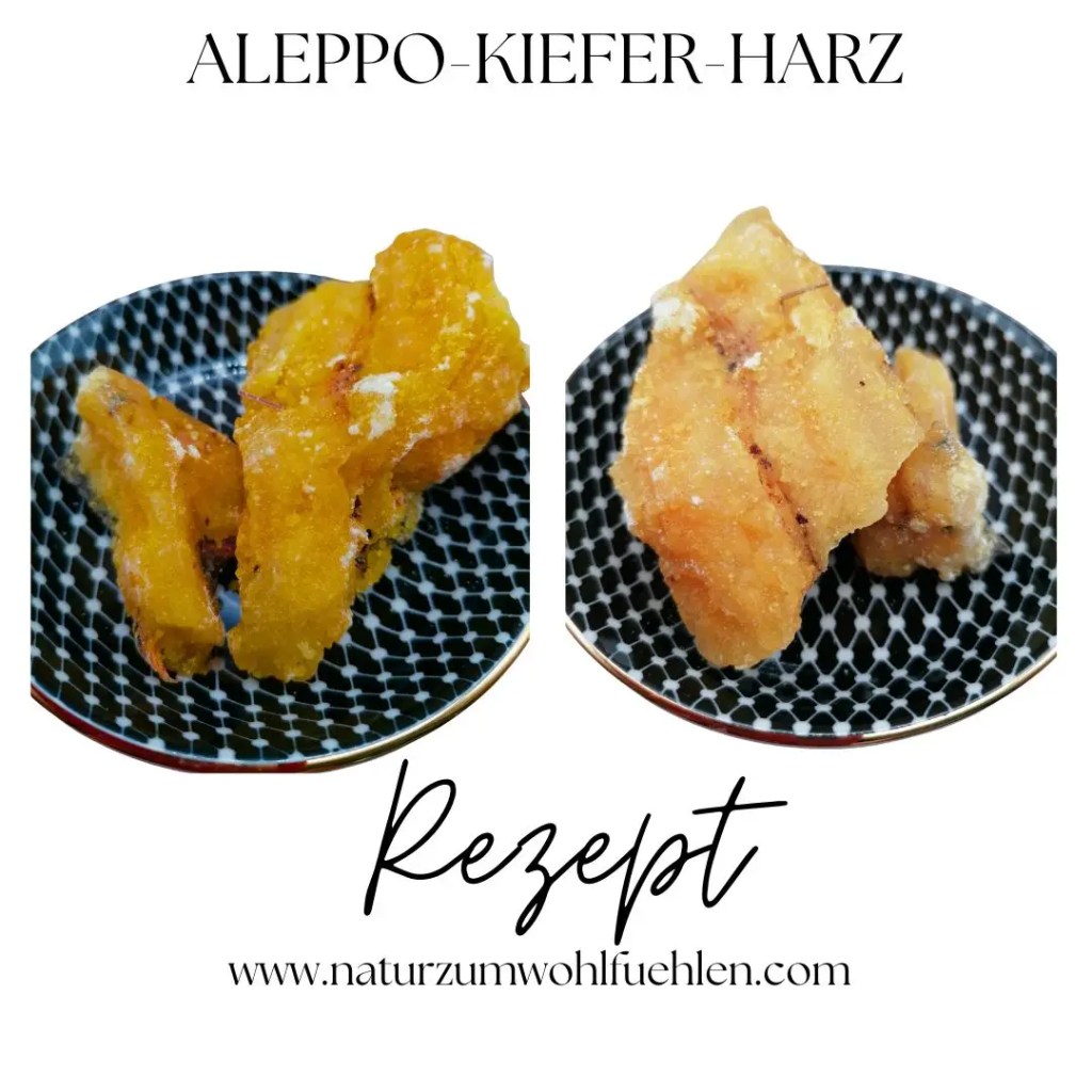 Aleppo-Kiefer-Harz