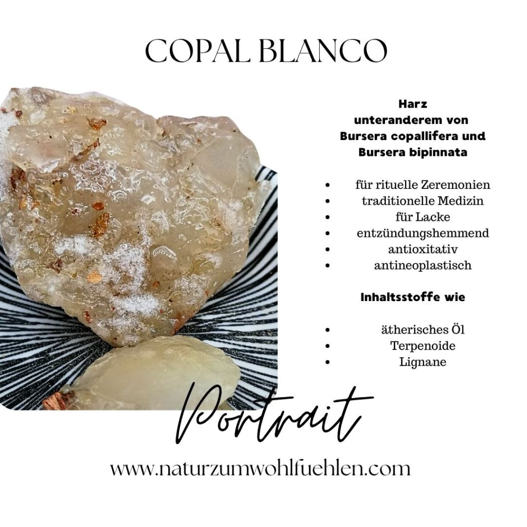 Ein Bild von Copal blanco, einem zähflüssigen Harz mit einer klaren, glänzenden Oberfläche. Das Harz ist in einer natürlichen Form abgebildet und liegt auf einem gestreiften Hintergrund. Neben dem Hauptstück befindet sich ein kleinerer Teil des Harzes. Ein minimalistischer Text beschreibt die Verwendung und Inhaltsstoffe von Copal blanco.