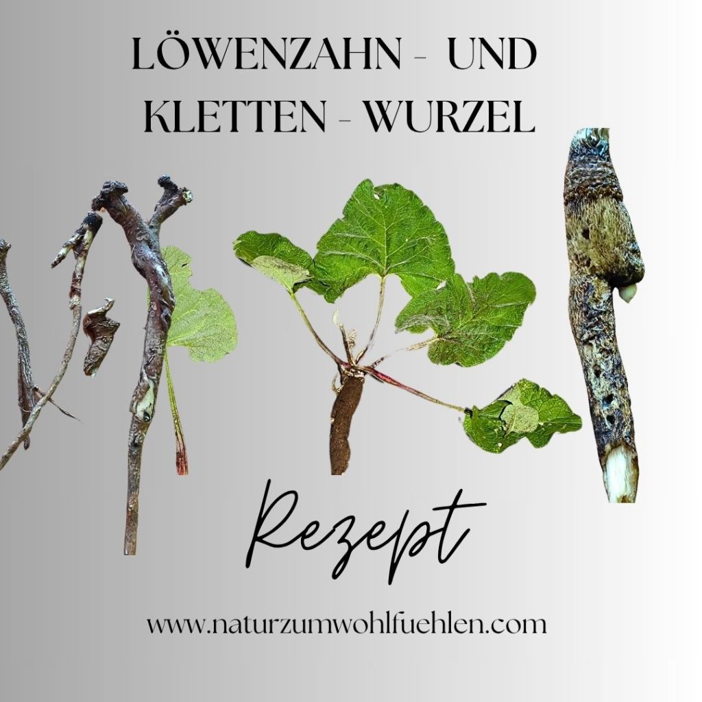 Darstellung von Löwenzahn- und Klettenwurzeln auf einem hellen Hintergrund mit dem Text 'LÖWENZAHN- UND KLETTEN-WURZEL' und 'Rezept' in stilvoller Schrift.