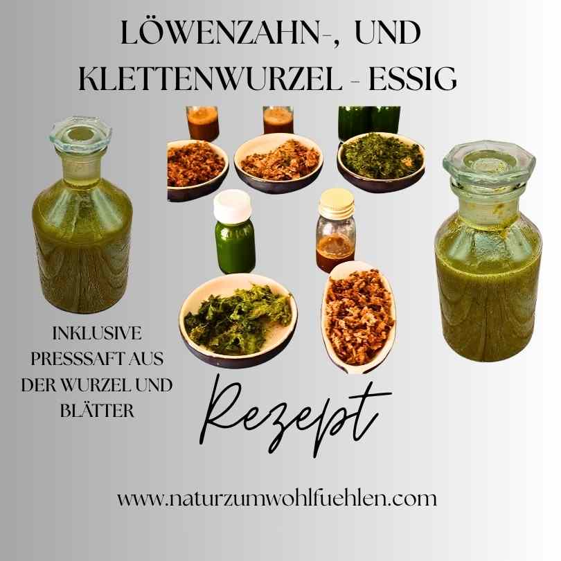 Eine Zusammenstellung von Löwenzahn- und Klettenwurzel-Essig, einschließlich der Presssäfte aus Wurzel und Blättern, präsentiert in einem dekorativen Arrangement mit Schalen und Flaschen.