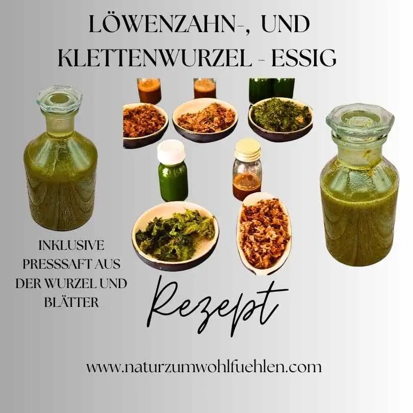 Eine Zusammenstellung von Löwenzahn- und Klettenwurzel-Essig, einschließlich der Presssäfte aus Wurzel und Blättern, präsentiert in einem dekorativen Arrangement mit Schalen und Flaschen.