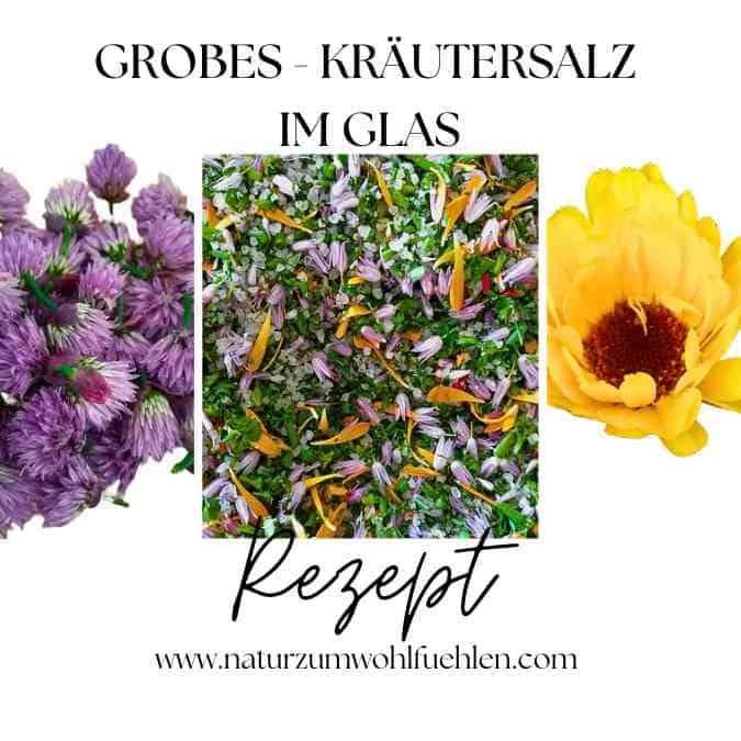 Ein Glas mit grobkörnigem Kräutersalz, das mit bunten Kräutern und Blüten, einschließlich Ringelblumenblüten und Schnittlauchblüten, verziert ist. Umgeben von frischen Kräutern in lila und gelb.