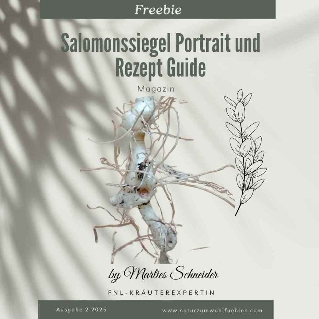 Salomonssiegel Magazin 02/2025 gratis