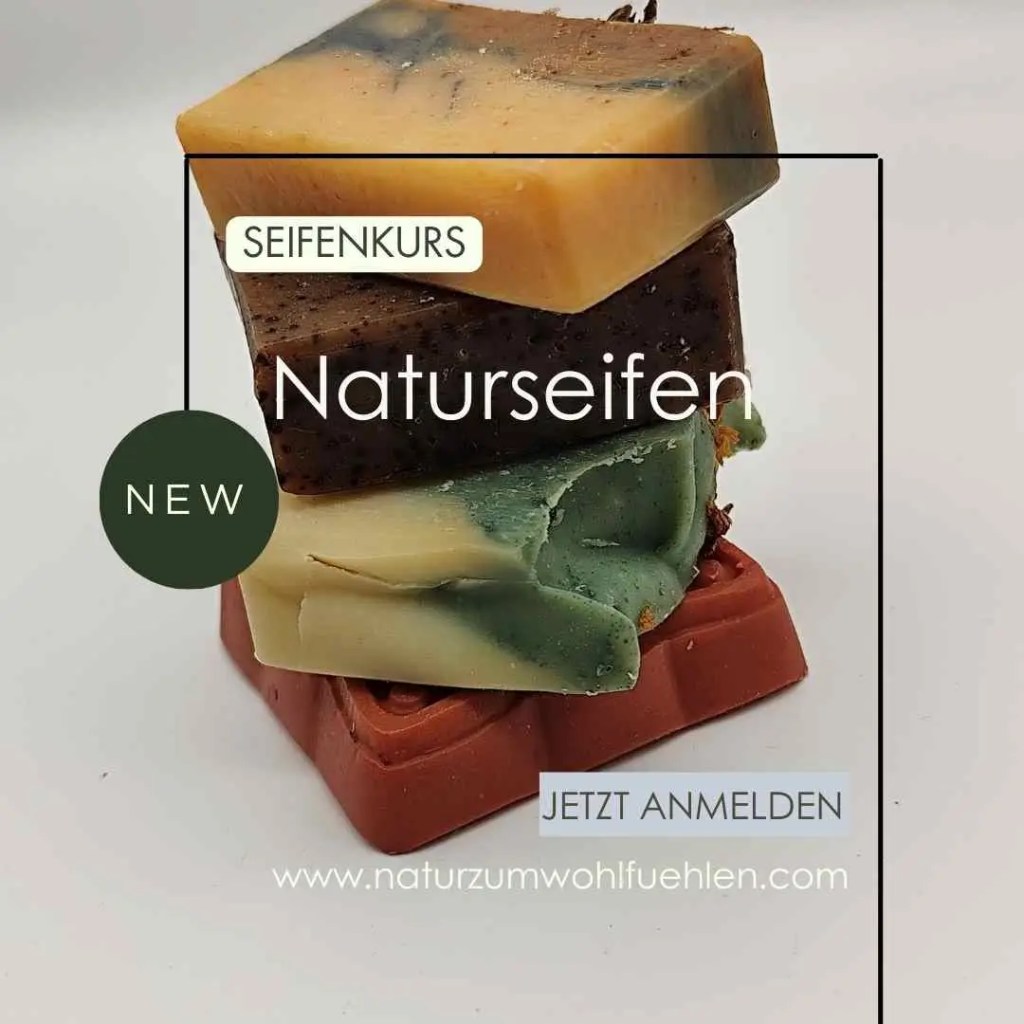Seifenkurs im Kaltverfahren