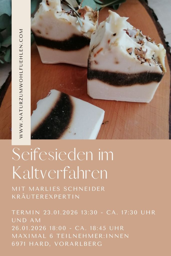 Seifenkurs im Kaltverfahren