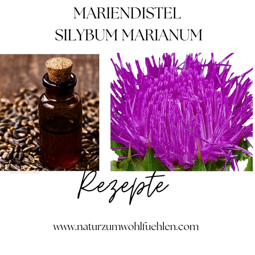 Mariendistel Rezepte – 7 starke Anwendungen für heute