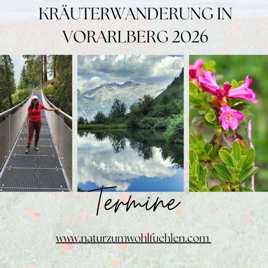 Kräuterwanderung als Geschenk