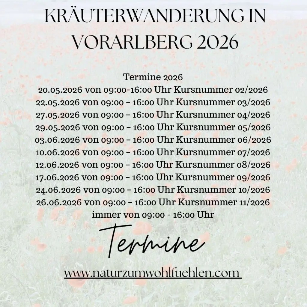 Kräuterwanderung als Geschenk