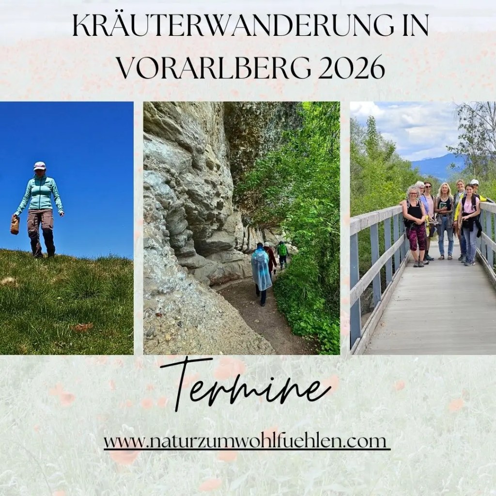 Kräuterwanderung in Vorarlberg