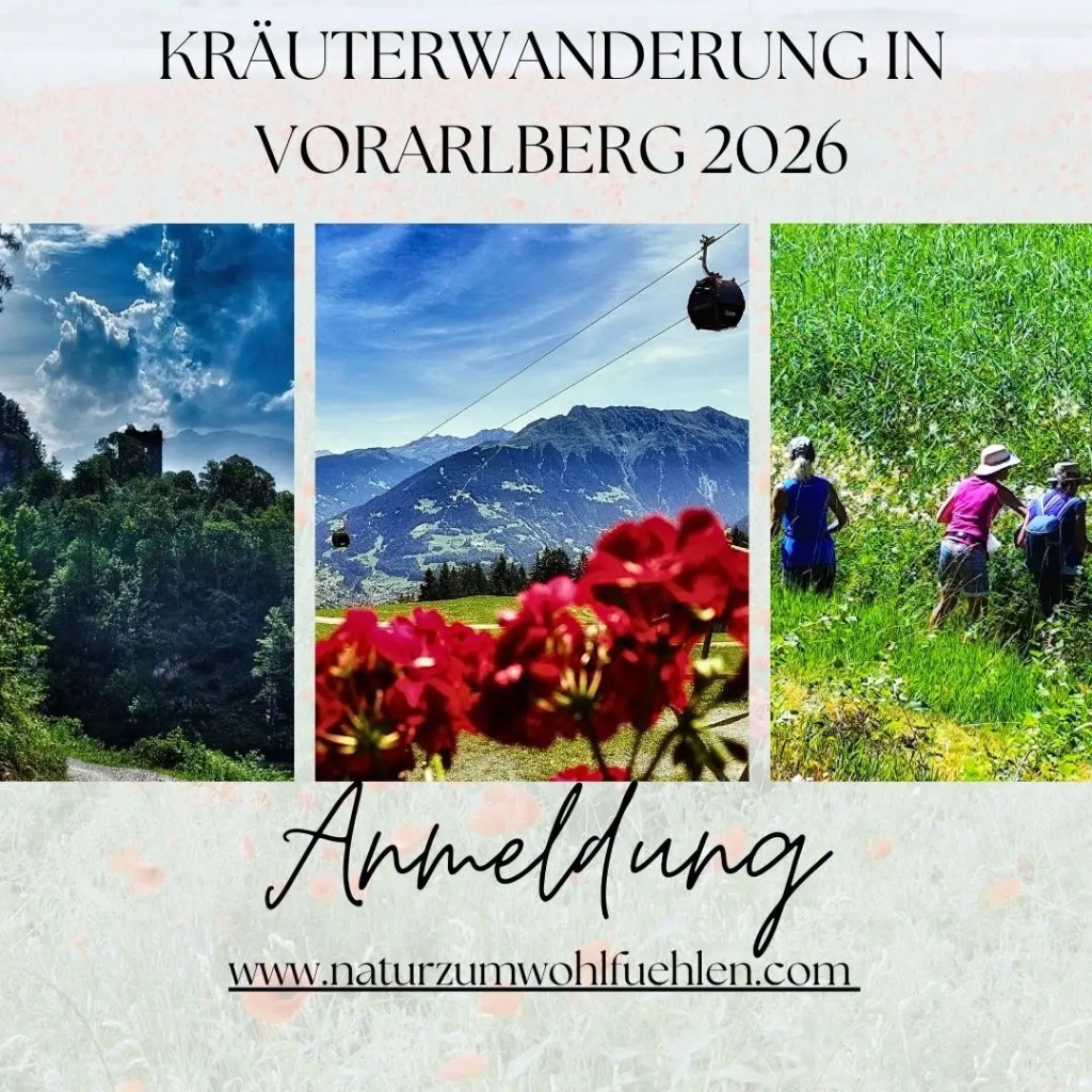 Kräutertour in Vorarlberg