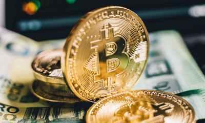 close up photo of gold coins