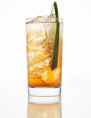 honey bear recipe