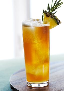 charentes shrub