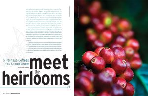 heirloom coffee