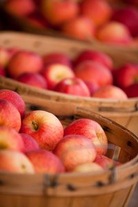 best hard ciders