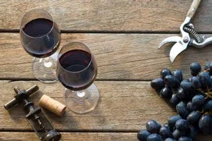 biodynamic wine