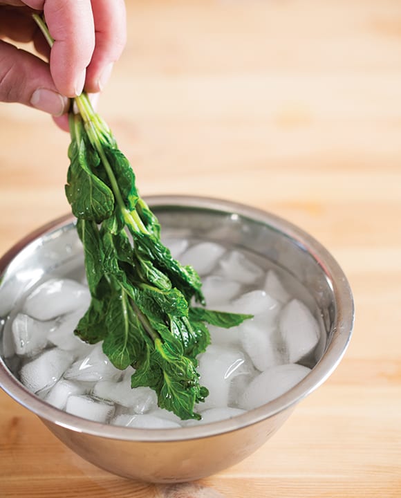 mint syrup