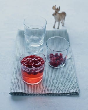Champagne Elderflower Cocktail