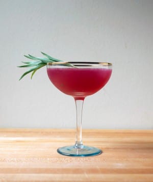 Electric Pink Fields - Imbibe Magazine