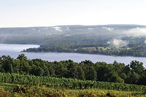 Finger Lakes