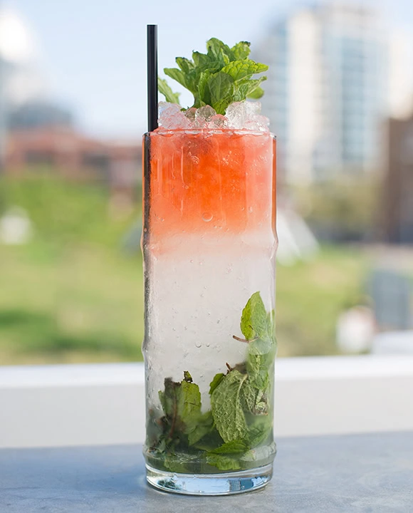 mojito caballito-vertical-crdt lyudmila zotova