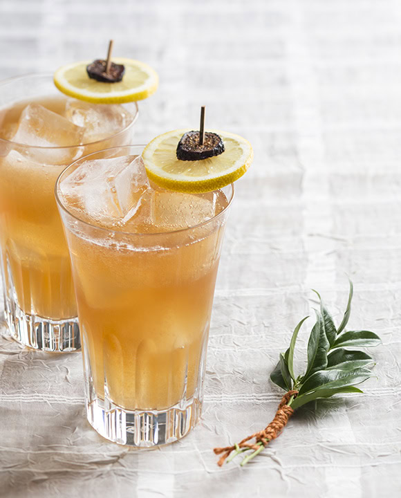 figgy tonic-holiday-vertical-crdt-lara-ferroni