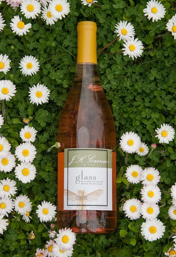 white pinot noir