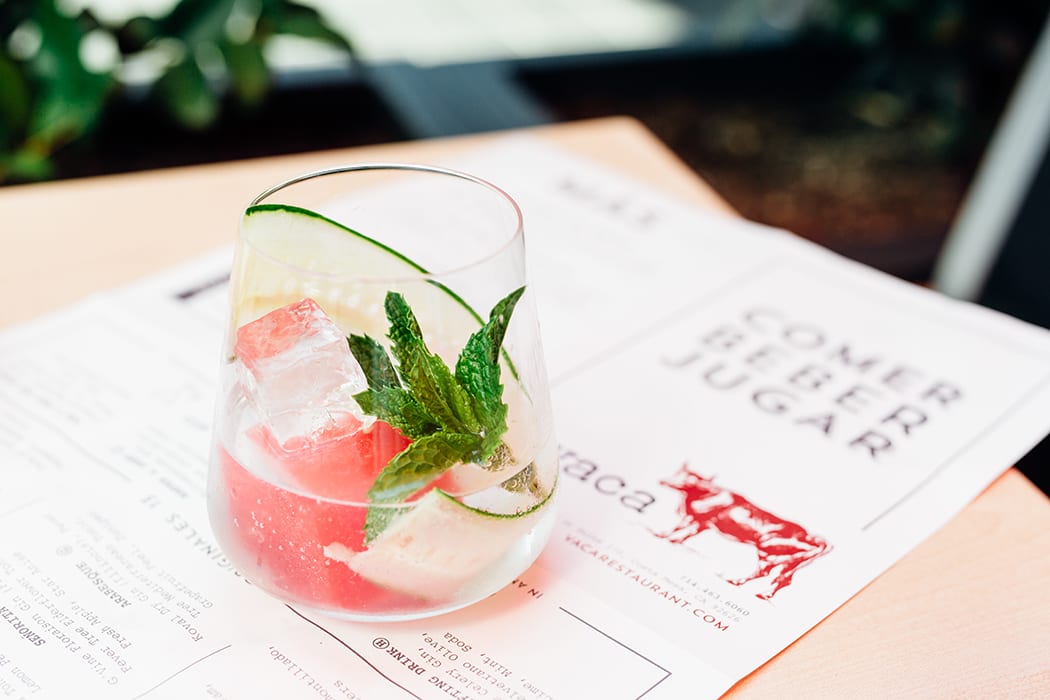 spanish gin tonic
