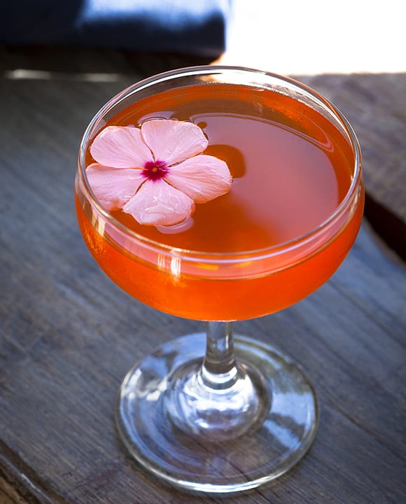 mezcal cocktail