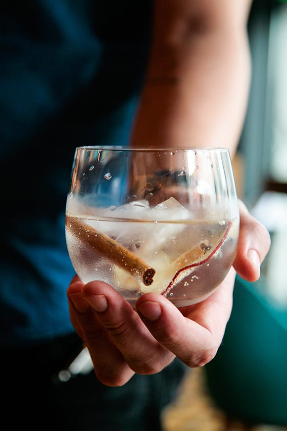 Autumn Gin & Tonic