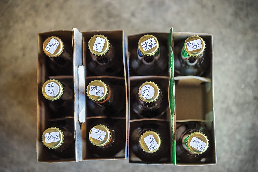 homebrewers turned pro