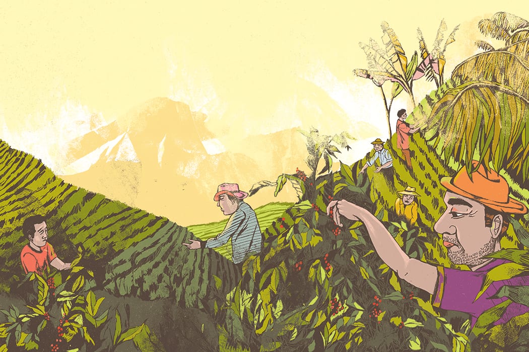 future of coffee