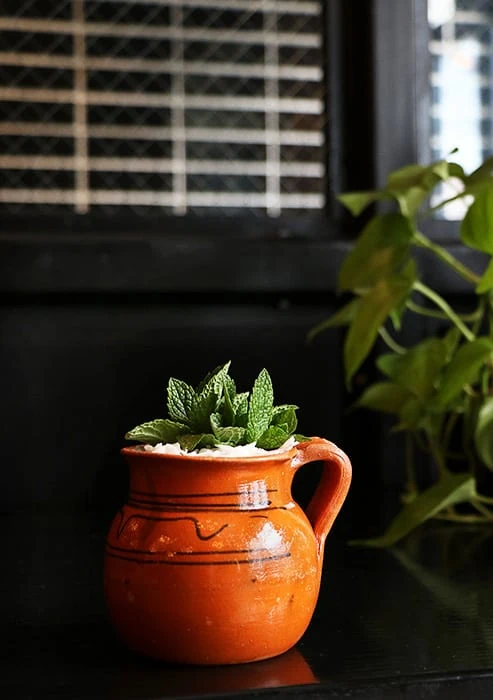 Tequila Cocktail