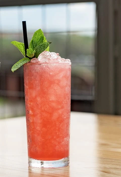 hibiscus Paloma Riff