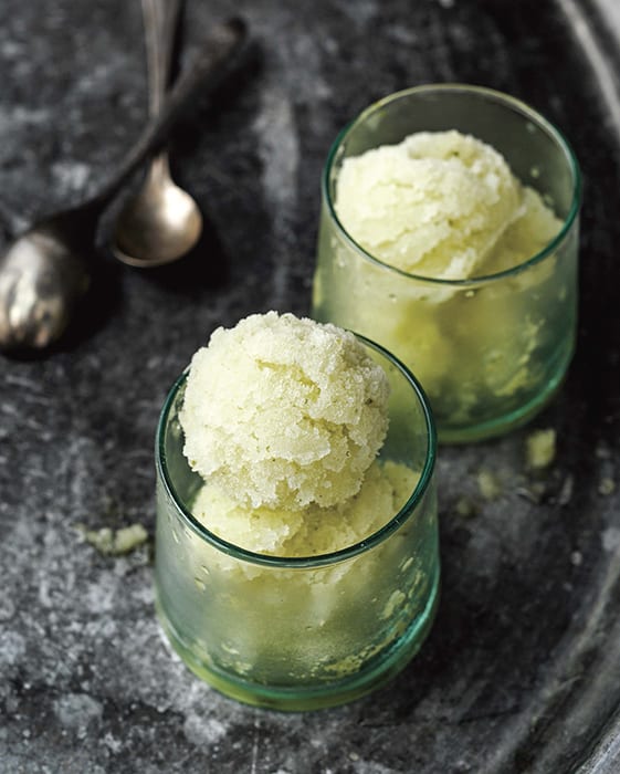 Cucumber-Gin Sorbet