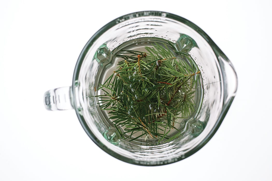 DIY Douglas Fir Liqueur