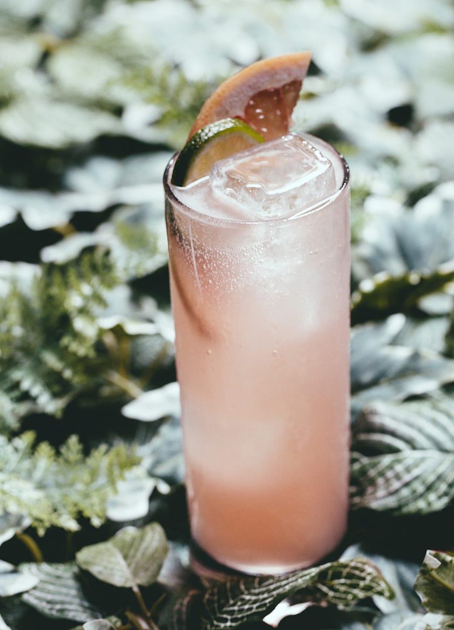 rhubarb liqueur