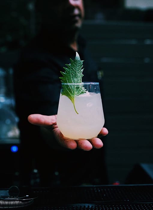 shiso