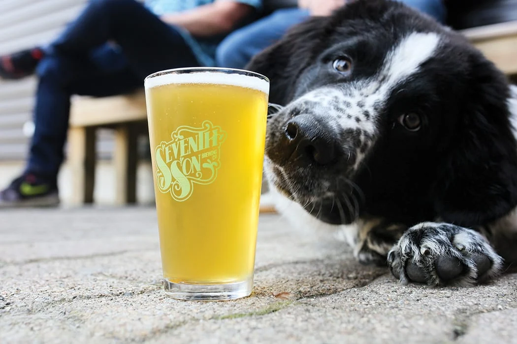 where to drink in columbus ohio
