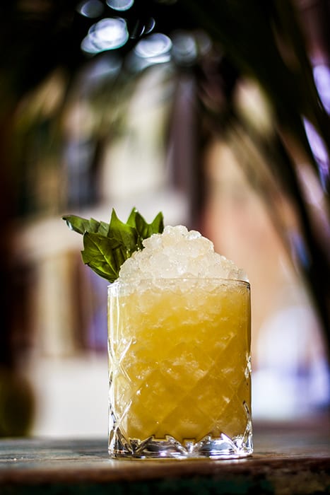 Secret Life of Plants Mai Tai