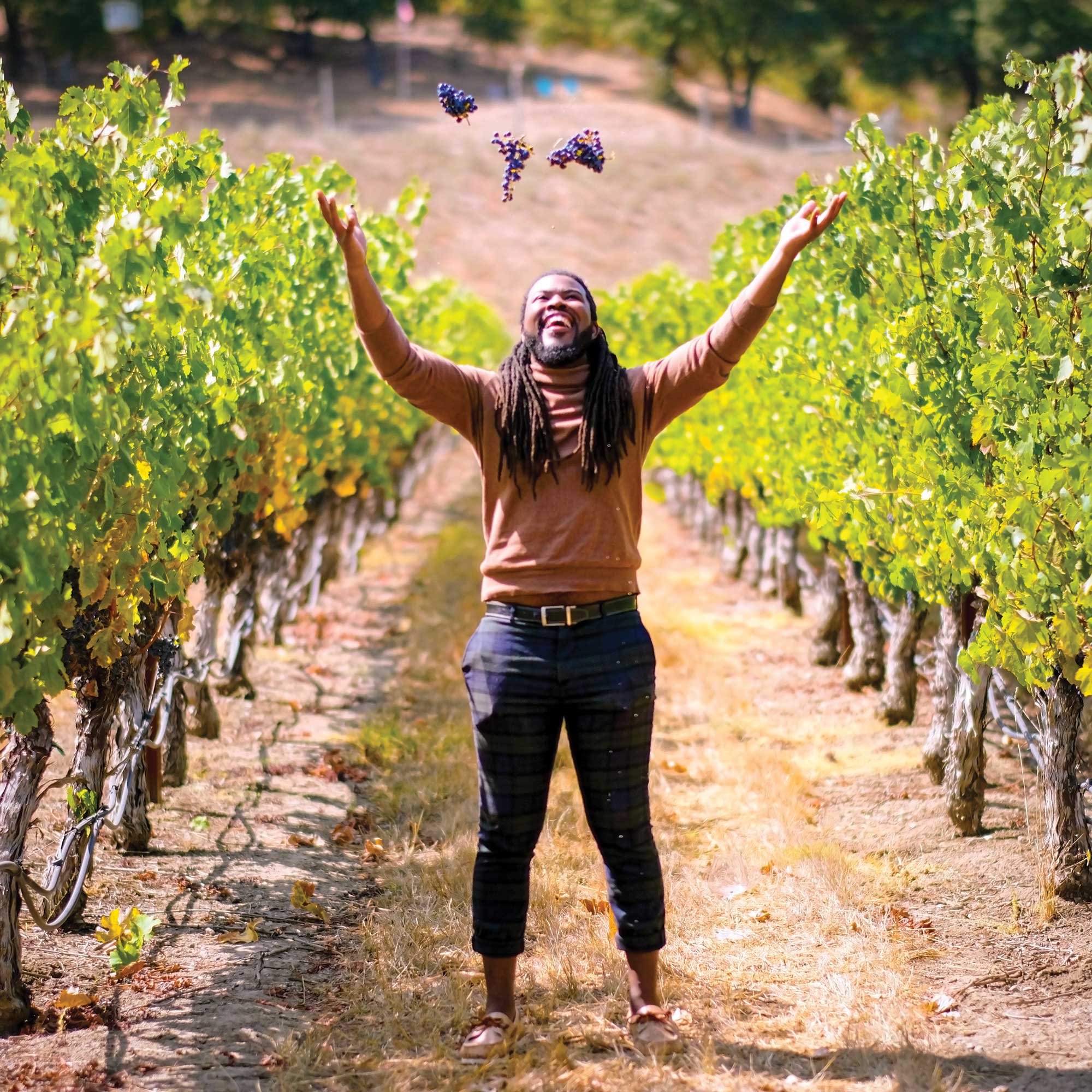 wade cellars